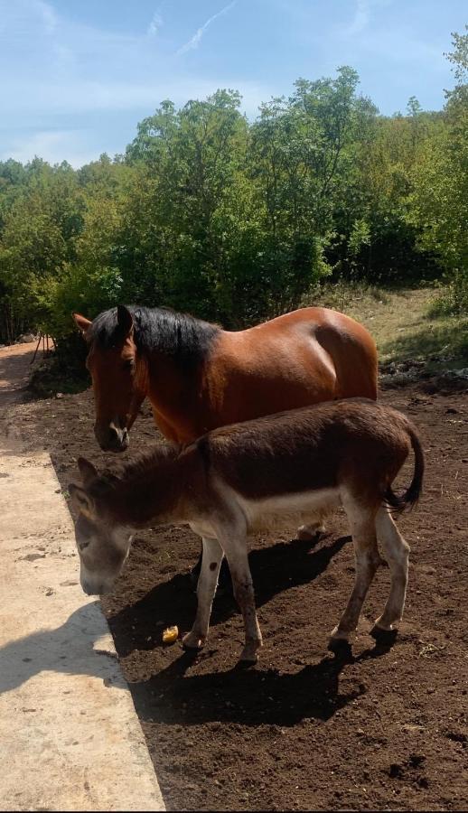 Hotel Etno Selo Montegoat Nikšić Esterno foto